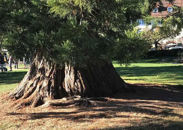 Appartement Garden View Freudenstadt